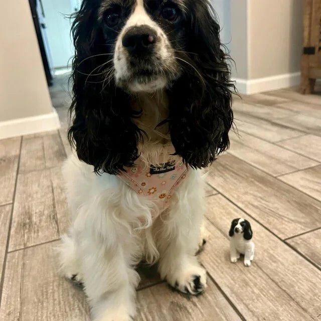 🐶 How to Turn Your Pet Into a Handmade Figurine (And Why You Should)