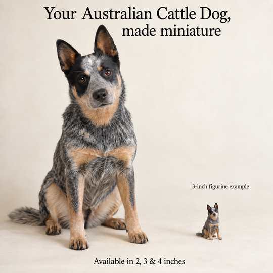 Illustrative Australian Cattle Dog comparison showing a small 3-inch figurine beside a dog; available in 2, 3 and 4 inches. Dog sizes vary.