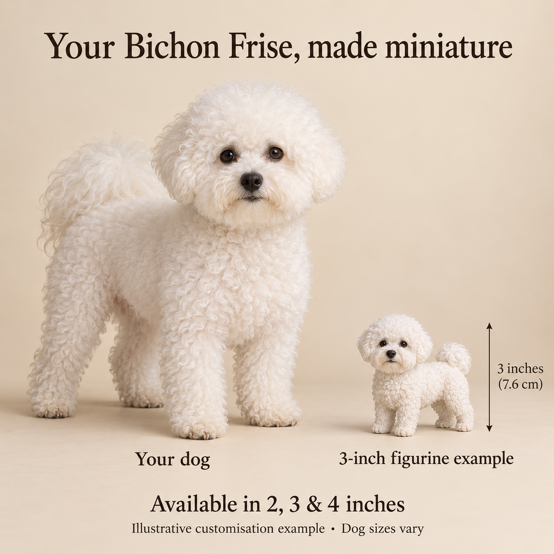 Illustrative Bichon Frise comparison showing a small 3-inch figurine beside a dog; available in 2, 3 and 4 inches. Dog sizes vary.