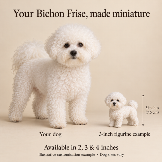 Illustrative Bichon Frise comparison showing a small 3-inch figurine beside a dog; available in 2, 3 and 4 inches. Dog sizes vary.