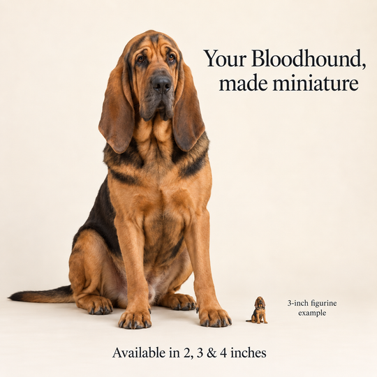 Illustrative Bloodhound comparison showing a small 3-inch figurine beside a dog; available in 2, 3 and 4 inches. Dog sizes vary.