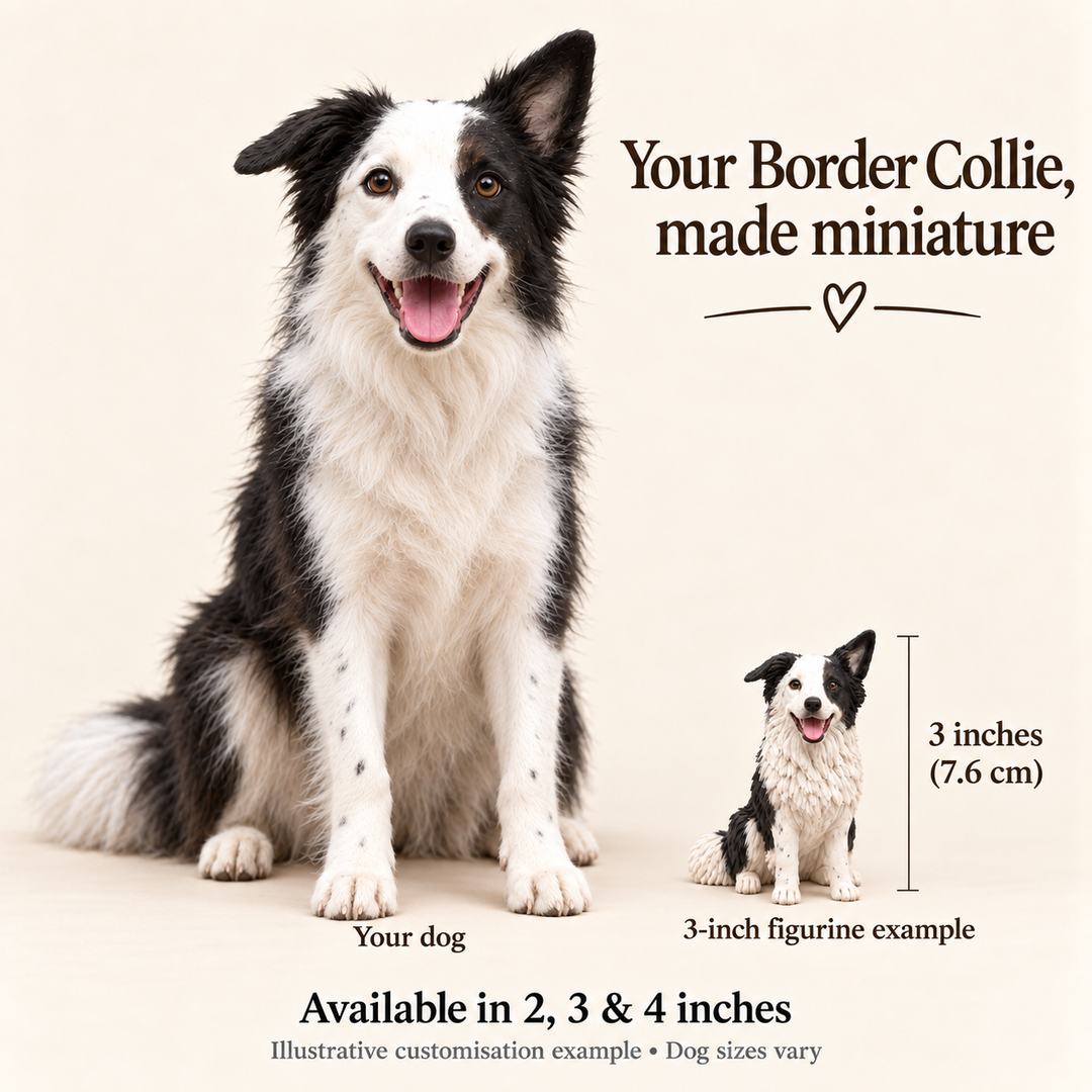 Illustrative Border Collie comparison showing a small 3-inch figurine example beside a full-size dog; available in 2, 3 and 4 inches. Dog sizes vary.