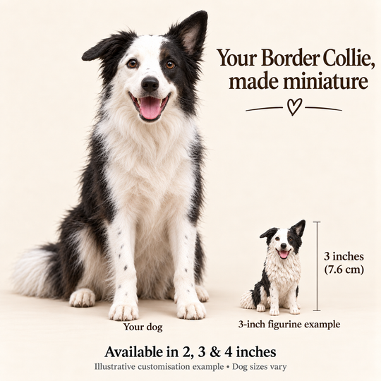 Illustrative Border Collie comparison showing a small 3-inch figurine example beside a full-size dog; available in 2, 3 and 4 inches. Dog sizes vary.