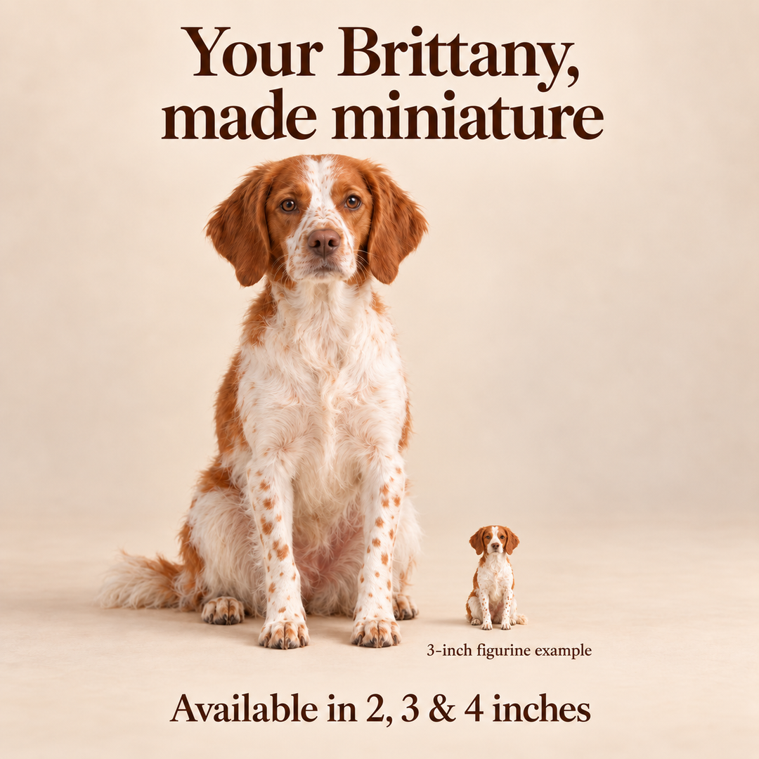 Illustrative Brittany comparison showing a small 3-inch figurine beside a dog; available in 2, 3 and 4 inches. Dog sizes vary.