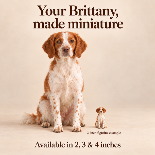 Illustrative Brittany comparison showing a small 3-inch figurine beside a dog; available in 2, 3 and 4 inches. Dog sizes vary.