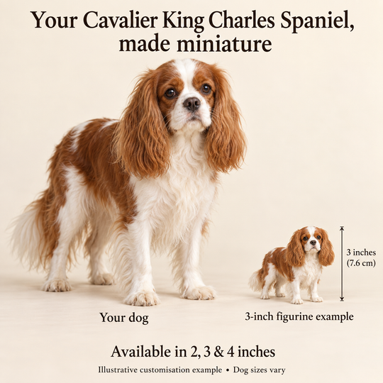Illustrative Cavalier King Charles Spaniel comparison showing a small 3-inch figurine beside a dog; available in 2, 3 and 4 inches. Dog sizes vary.