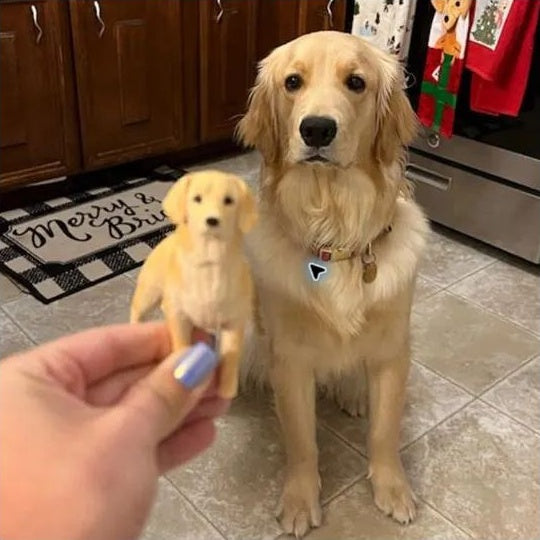 Custom Golden Retriever polymer clay figurine shown beside the real Golden Retriever