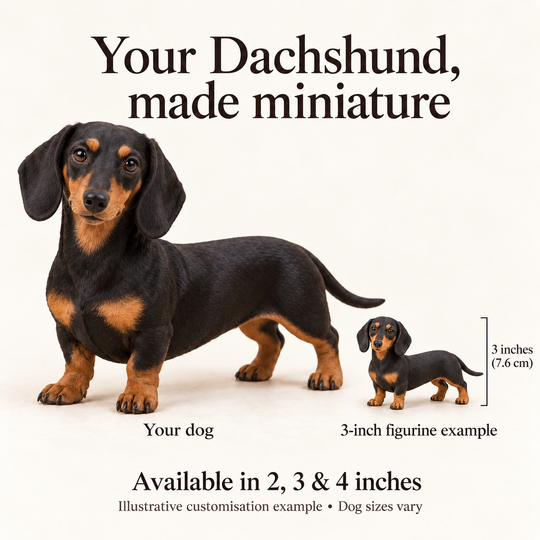 Illustrative Dachshund comparison showing a small 3-inch figurine example beside a dog; available in 2, 3 and 4 inches. Dog sizes vary.