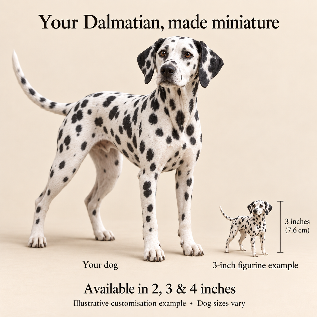 Illustrative Dalmatian comparison showing a small 3-inch figurine beside a dog; available in 2, 3 and 4 inches. Dog sizes vary.