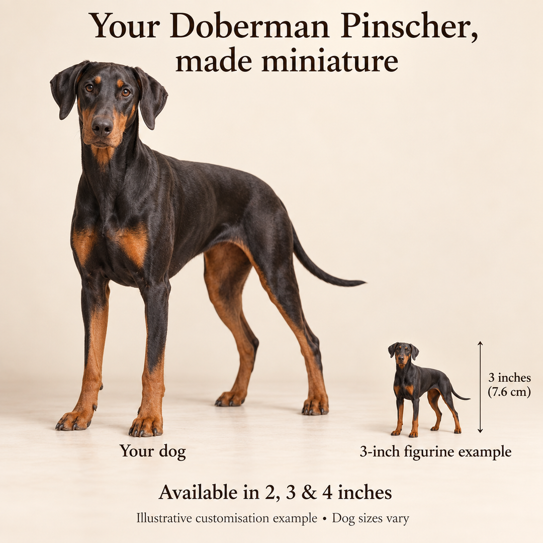 Illustrative Doberman Pinscher comparison showing a small 3-inch figurine beside a dog; available in 2, 3 and 4 inches. Dog sizes vary.