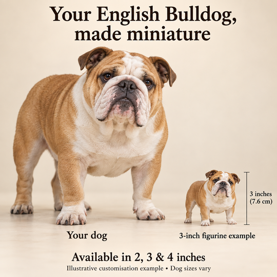 Illustrative English Bulldog comparison showing a small 3-inch figurine beside a dog; available in 2, 3 and 4 inches. Dog sizes vary.