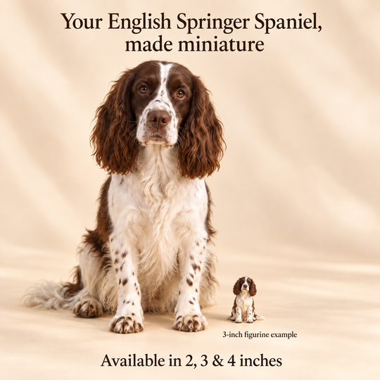 Illustrative English Springer Spaniel comparison showing a small 3-inch figurine beside a dog; available in 2, 3 and 4 inches. Dog sizes vary.