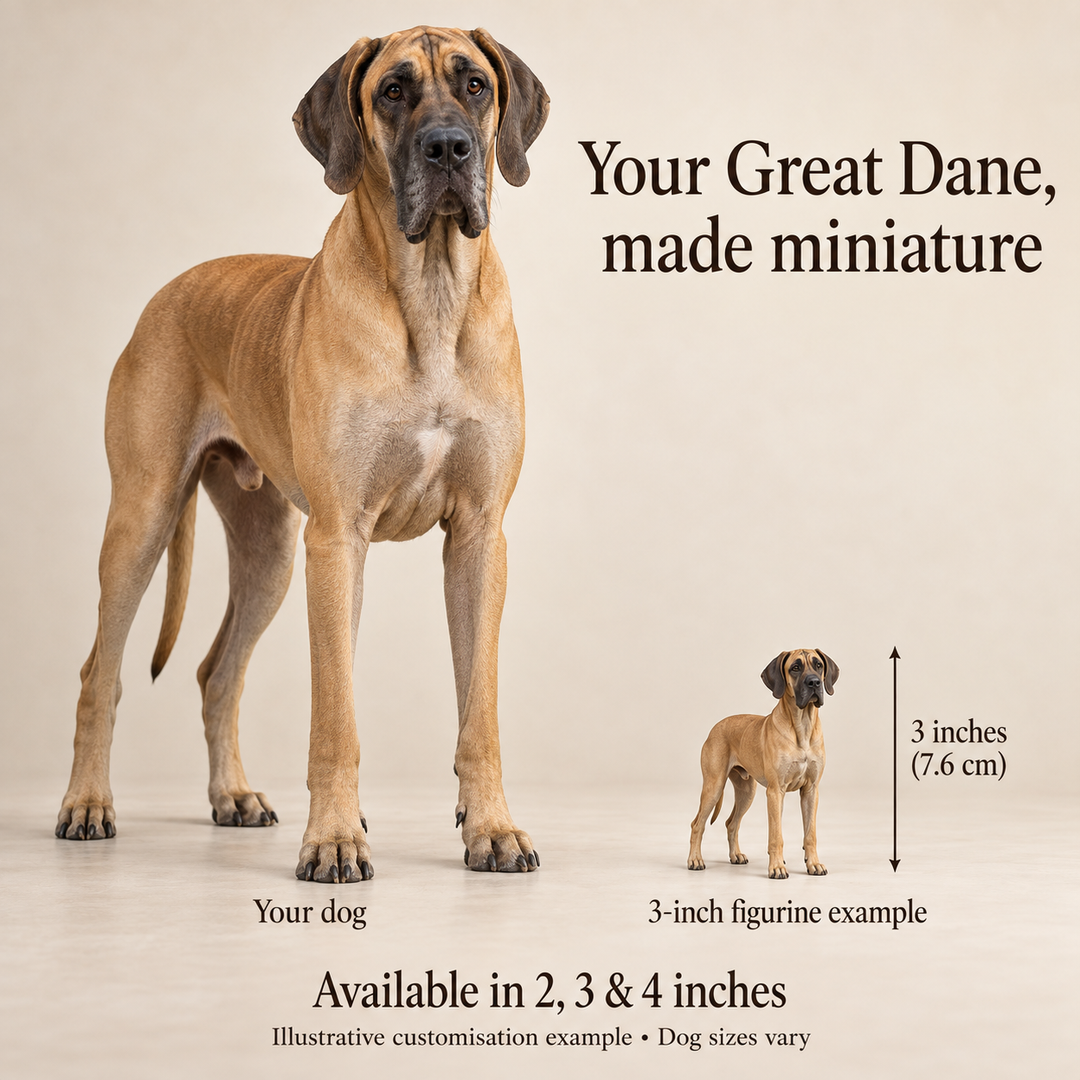 Illustrative Great Dane comparison showing a small 3-inch figurine beside a dog; available in 2, 3 and 4 inches. Dog sizes vary.