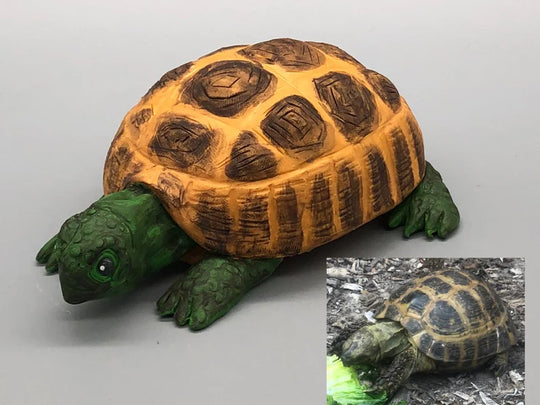 Custom Turtle Figurine – Personalized Handmade Keepsake Gift
