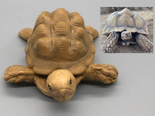 Custom Turtle Figurine – Personalized Handmade Keepsake Gift