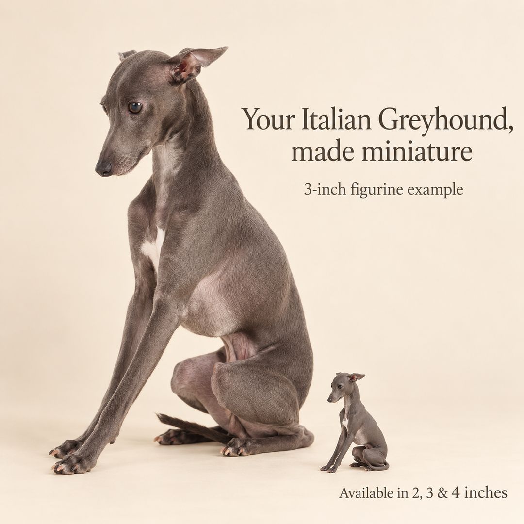 Illustrative Italian Greyhound comparison showing a small 3-inch figurine beside a dog; available in 2, 3 and 4 inches. Dog sizes vary.