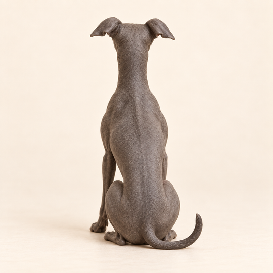Illustrative rear view of a custom Italian Greyhound polymer clay figurine.