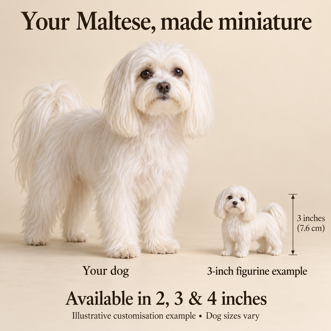 Illustrative Maltese comparison showing a small 3-inch figurine beside a dog; available in 2, 3 and 4 inches. Dog sizes vary.
