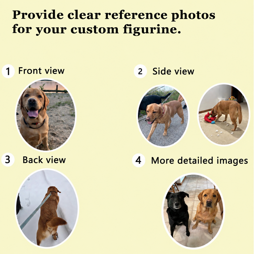 Clear reference photo examples and details to provide for a custom figurine