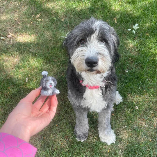 Example of the custom figurine design; personalised from customer reference photos