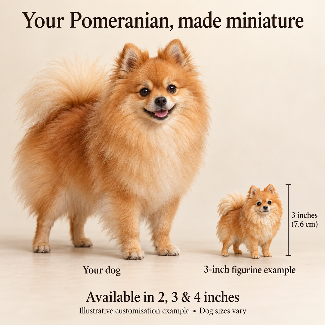 Illustrative Pomeranian comparison showing a small 3-inch figurine beside a dog; available in 2, 3 and 4 inches. Dog sizes vary.