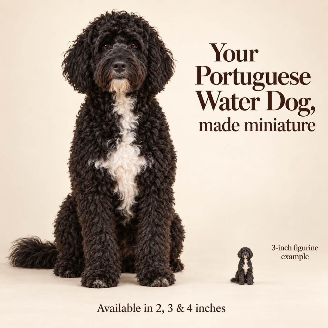 Illustrative Portuguese Water Dog comparison showing a small 3-inch figurine beside a dog; available in 2, 3 and 4 inches. Dog sizes vary.