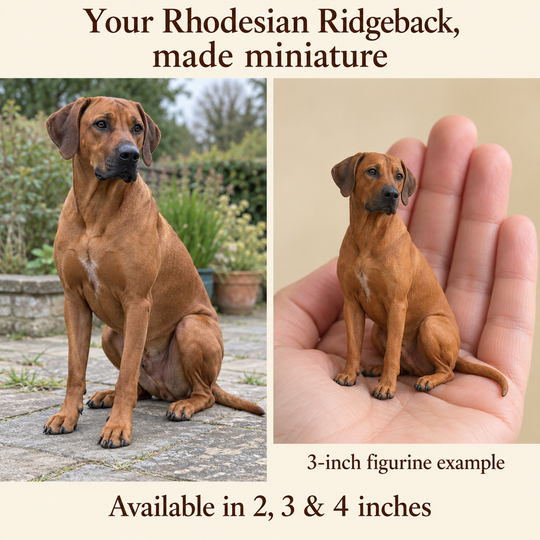 Illustrative Rhodesian Ridgeback comparison showing a small 3-inch figurine beside a dog; available in 2, 3 and 4 inches. Dog sizes vary.