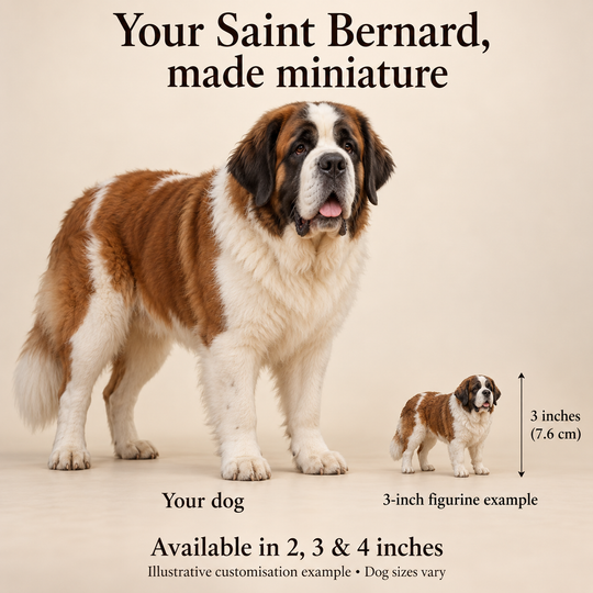 Illustrative Saint Bernard comparison showing a small 3-inch figurine beside a dog; available in 2, 3 and 4 inches. Dog sizes vary.