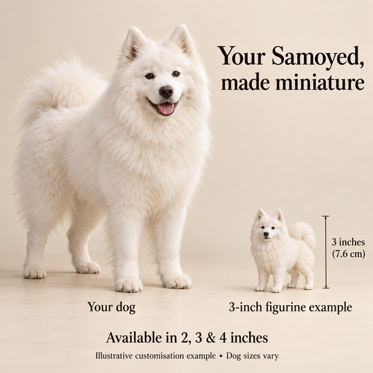 Illustrative Samoyed comparison showing a small 3-inch figurine beside a dog; available in 2, 3 and 4 inches. Dog sizes vary.