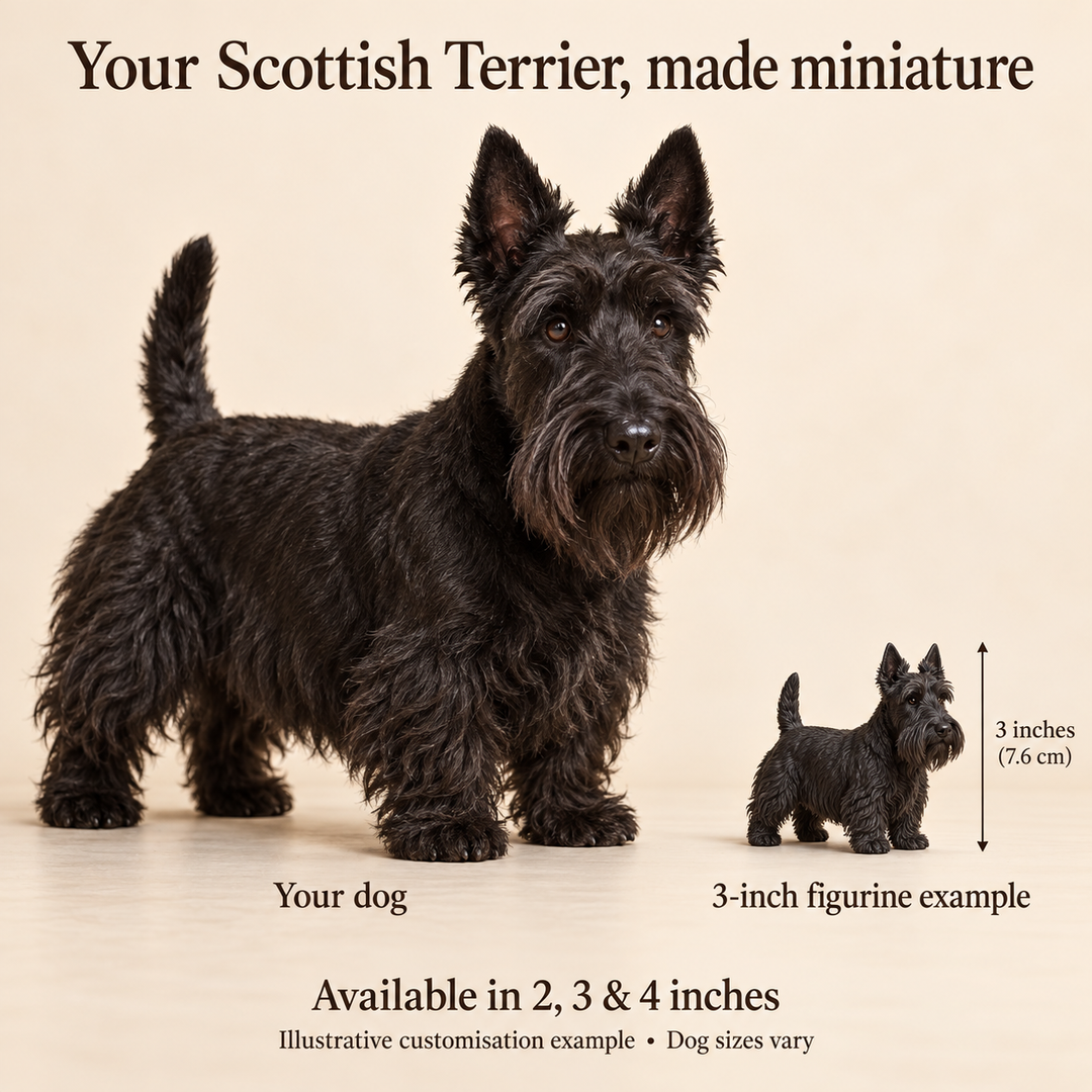 Illustrative Scottish Terrier comparison showing a small 3-inch figurine beside a dog; available in 2, 3 and 4 inches. Dog sizes vary.