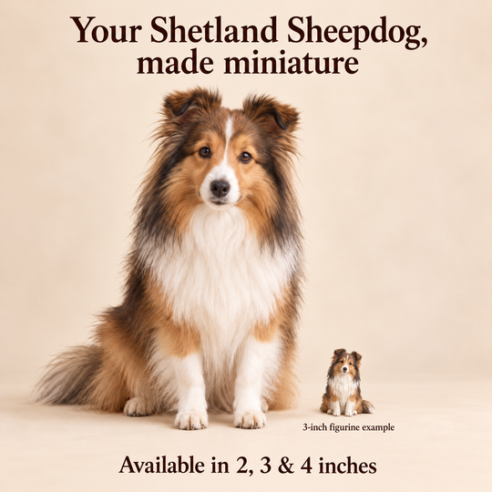 Illustrative Shetland Sheepdog comparison showing a small 3-inch figurine beside a dog; available in 2, 3 and 4 inches. Dog sizes vary.