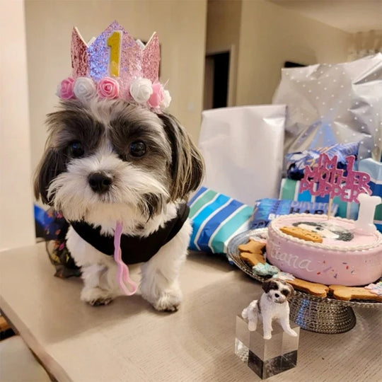 Shih Tzu beside a miniature custom clay figurine, from CakeTopperDesignGift.