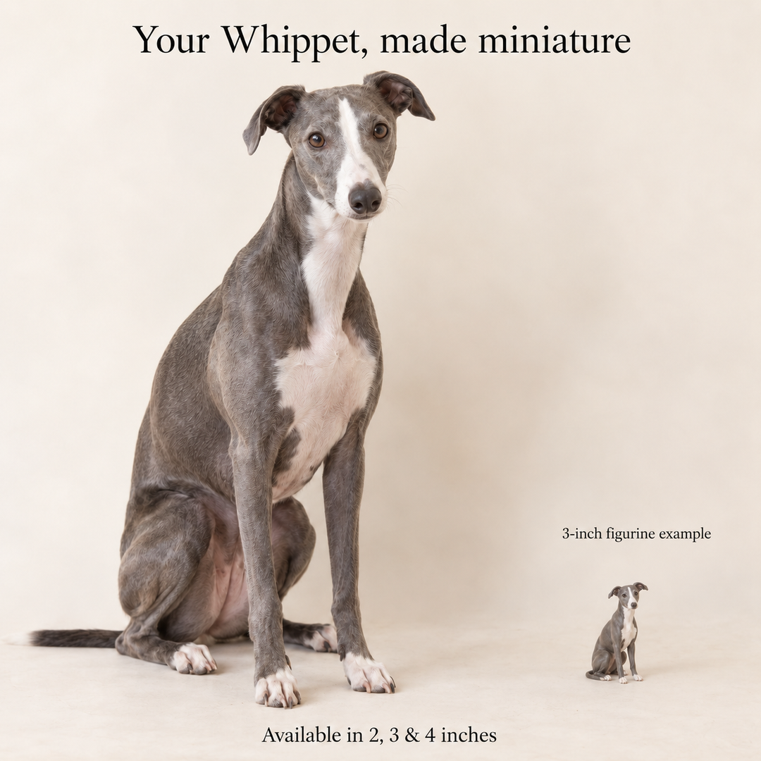 Illustrative Whippet comparison showing a small 3-inch figurine beside a dog; available in 2, 3 and 4 inches. Dog sizes vary.