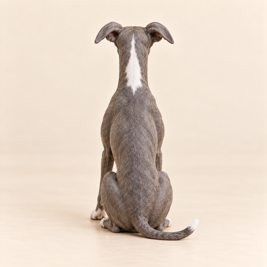 Illustrative rear view of a custom Whippet polymer clay figurine.