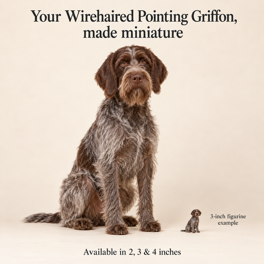 Illustrative Wirehaired Pointing Griffon comparison showing a small 3-inch figurine beside a dog; available in 2, 3 and 4 inches. Dog sizes vary.